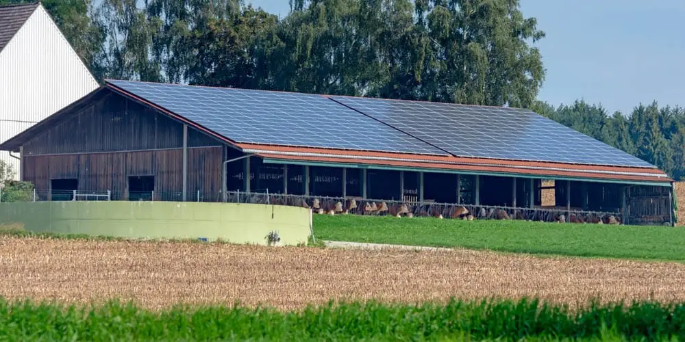 Panneau solaire poulailler : guide complet de l’éleveur de volaille en 2026