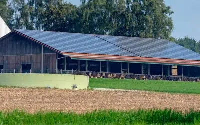 Panneau solaire poulailler : guide complet de l&rsquo;éleveur de volaille en 2026
