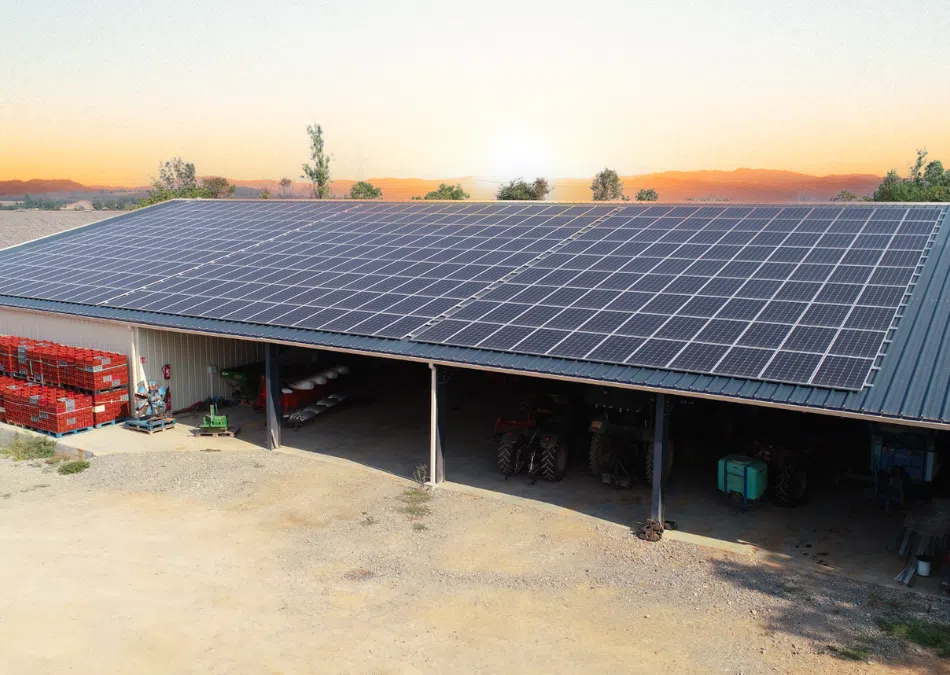 Panneau solaire sur bâtiment agricole : Louer sa toiture