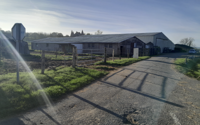 Rénovation hangar agricole : tout ce qu’il faut savoir avant de se lancer