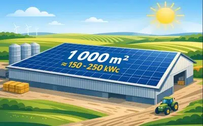 Combien rapporte 1 000 m² de panneaux solaires en 2026 ?