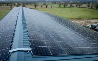 Remplacer du fibro ciment : modernisez votre toiture agricole